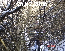 26-02-2006