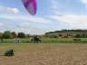 DSCN1929