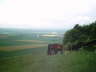 IMAGE0037