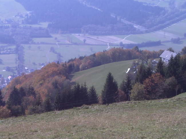 M1