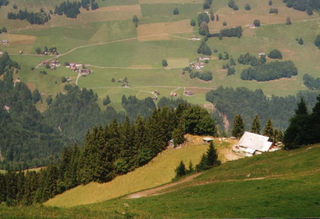 wirzweli_startplatz